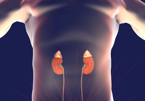 Addisson’s Disease: Causes, Symptoms, Diagnosis & Treatment