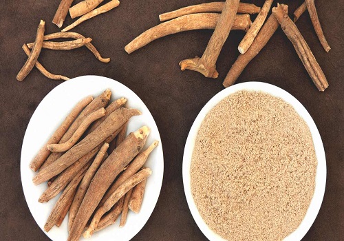 Amazing Health Benefits Of Withania Somnifera