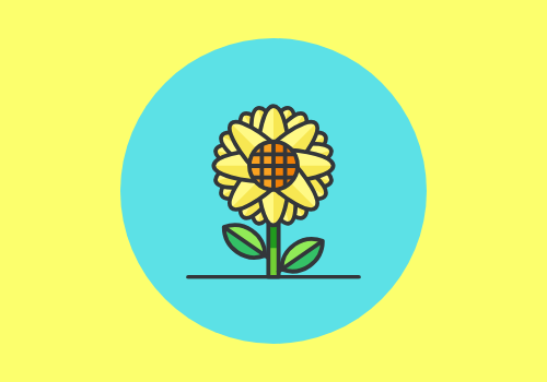 Go For A Far-Reaching Diet With Seeds Of A Flower – Sunflower Seeds