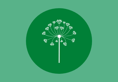 Understanding The Power Of Dandelion Tea