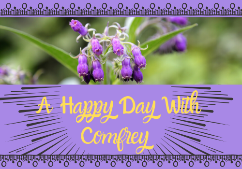 Release Your Happy Hormones - Start Eating Comfrey