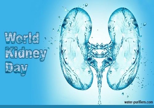 5 Foods To Keep Kidneys Healthy