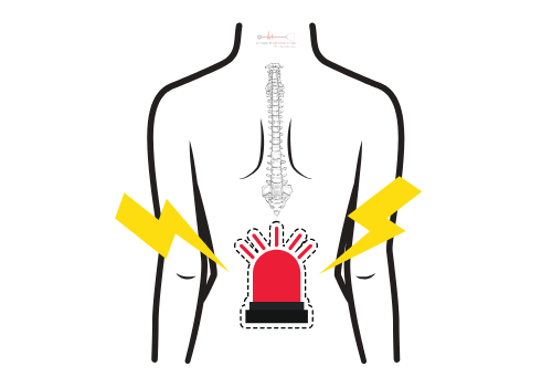 Back Pain & Psoas Muscles - Read On To Know More!